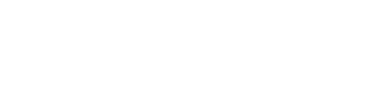 Roman Agency Profitable Digital Marketing